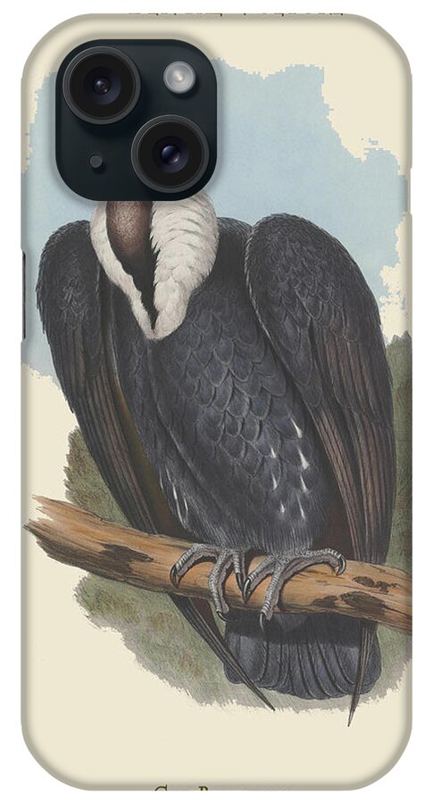 Vulture iPhone Case featuring the painting Gyps Bengalensis - Bengal Vulture by John Gould