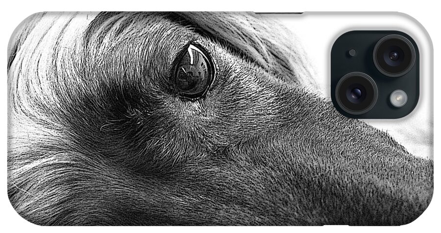 Dog iPhone Case featuring the digital art Haji's Curl by Diane Chandler