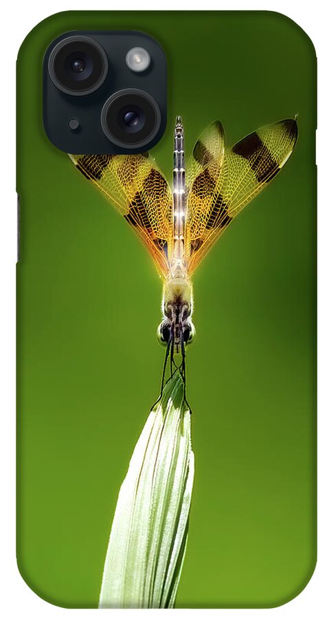 Dragonfly iPhone Case featuring the photograph Halloween Pennant by Mark Andrew Thomas