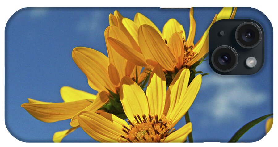 Flowers iPhone Case featuring the photograph Happy by Tiffany Whisler