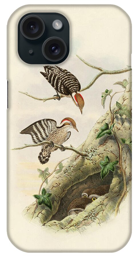 Woodpecker iPhone Case featuring the painting Hardwick's Pygmy Woodpecker by John Gould