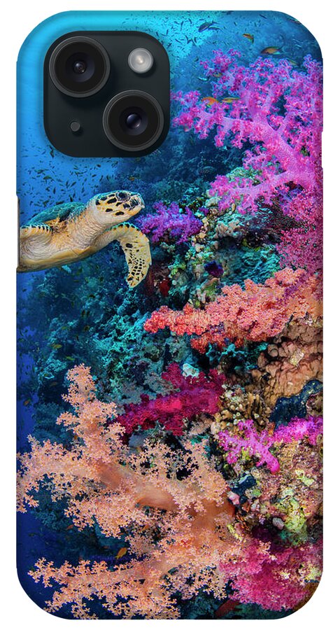 Animal iPhone Case featuring the photograph Hawksbill Turtle Swims Along A Coral Reef With Pink Soft by Alex Mustard / Naturepl.com