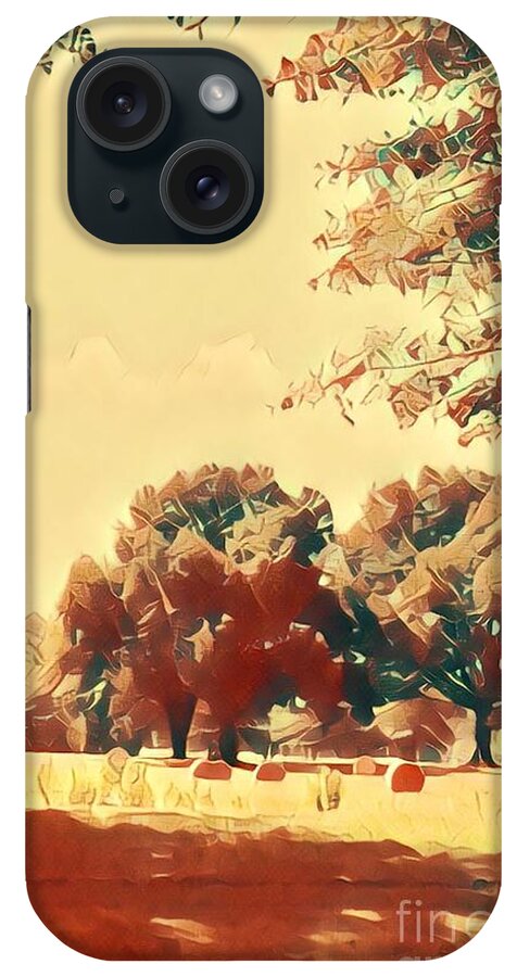 Wall Art iPhone Case featuring the photograph Hay Bales by Karen Francis