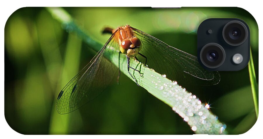 Dragonfly iPhone Case featuring the photograph Hdr02 by Gordon Semmens