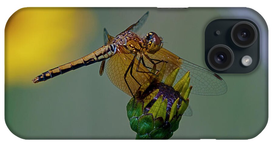 Dragonfly iPhone Case featuring the photograph Hdr05-1 by Gordon Semmens