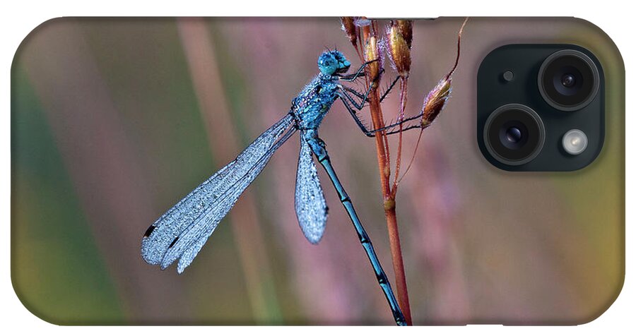 Dragonfly iPhone Case featuring the photograph Hdr10 by Gordon Semmens