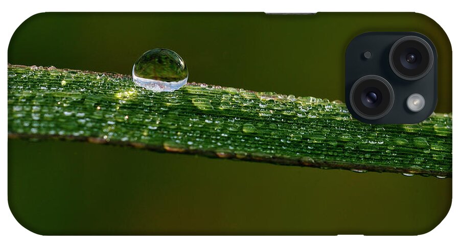 Water Droplet iPhone Case featuring the photograph Hdr11 by Gordon Semmens
