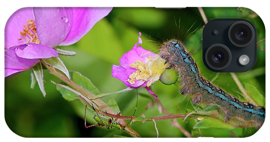 Caterpillar iPhone Case featuring the photograph Hdr19 by Gordon Semmens