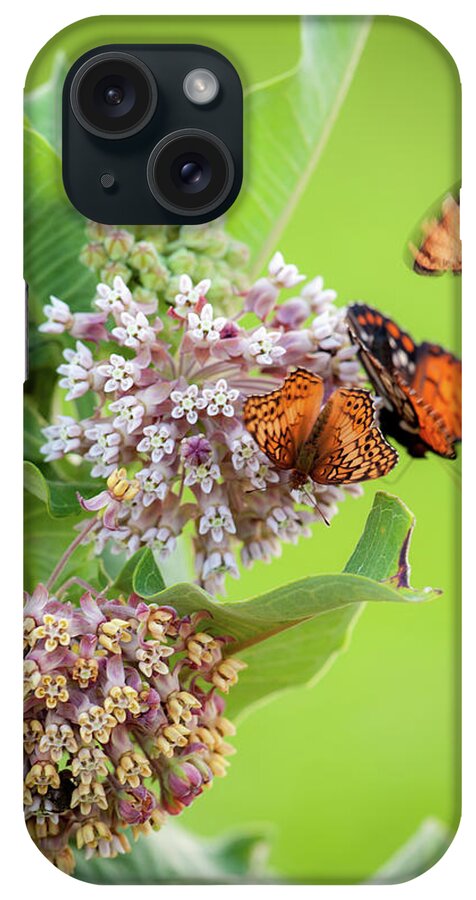 Chase County iPhone Case featuring the photograph Head Over Heals for Milkweed by Jeff Phillippi