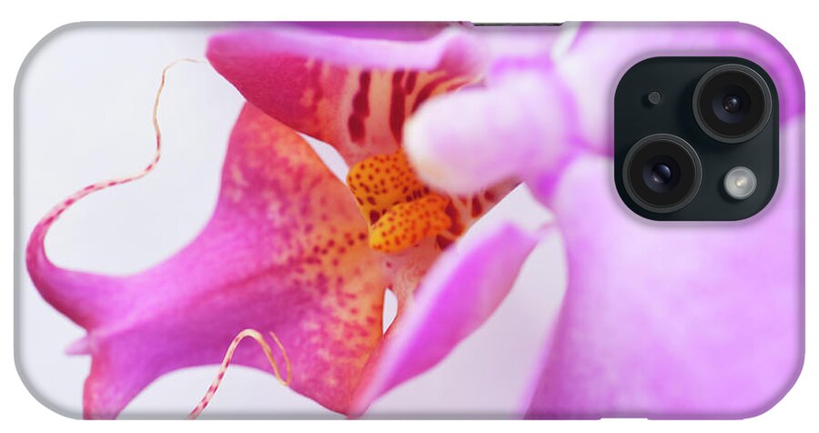 Single Object iPhone Case featuring the photograph Heaven Must Have Sent You by Debralee Wiseberg