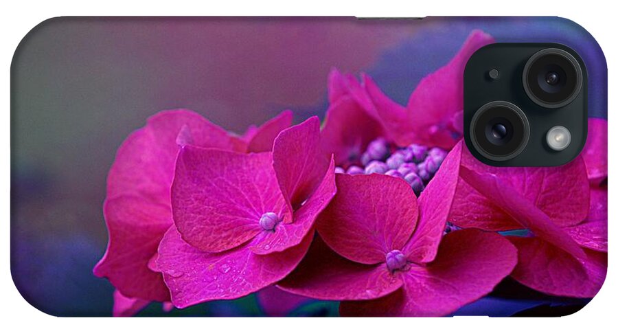 Art iPhone Case featuring the photograph Heavenly Hydrangea by Joan Han