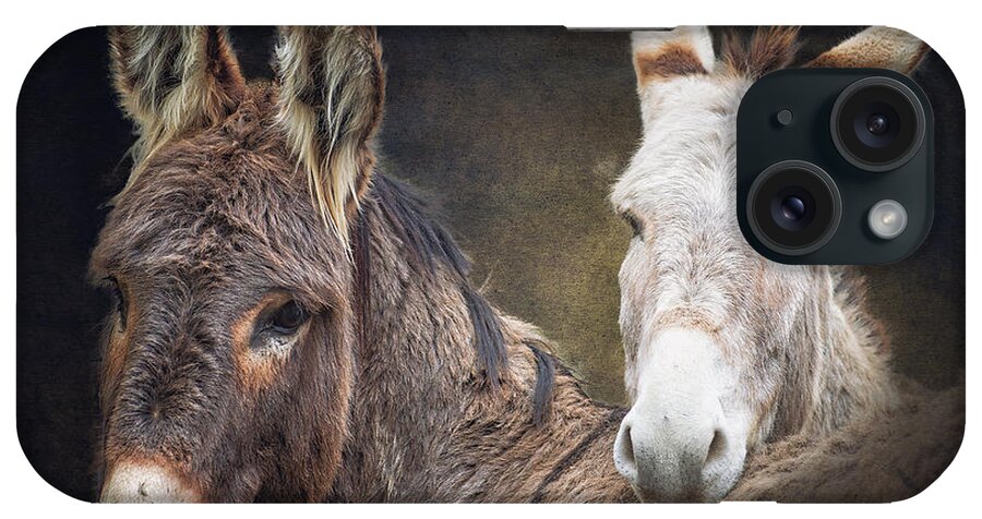 Burro iPhone Case featuring the photograph Heckle and Jeckle by Ron McGinnis