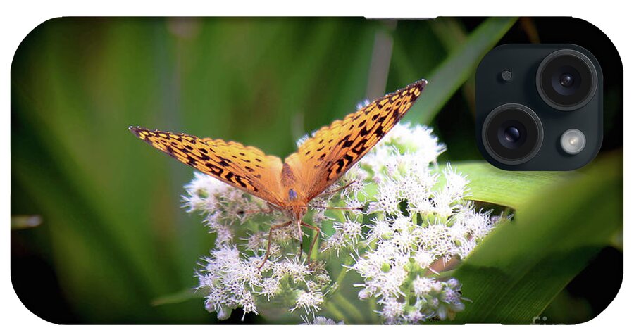 Butterfly iPhone Case featuring the photograph Hello by Veronica Batterson