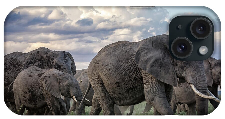 Kenya iPhone Case featuring the photograph Herd Of African Elephants On The Move by Mike Hill