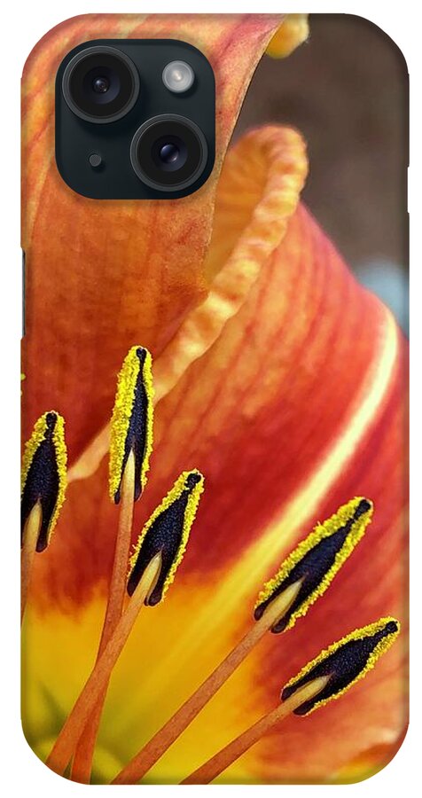 Orange iPhone Case featuring the digital art Here Comes the Sun by Cindy Greenstein