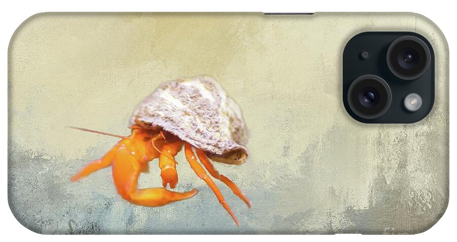 Hermit Crab iPhone Case featuring the photograph Hermit Crab by Eva Lechner