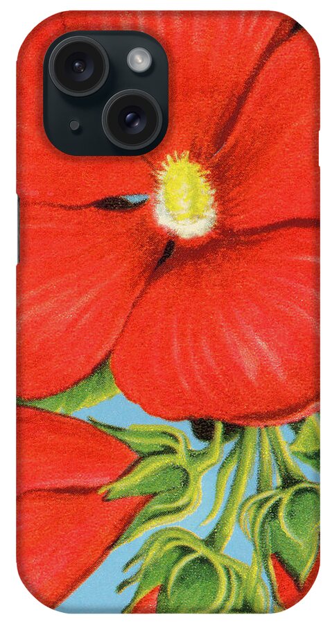 Bloom iPhone Case featuring the drawing Hibiscus Blossom by CSA Images