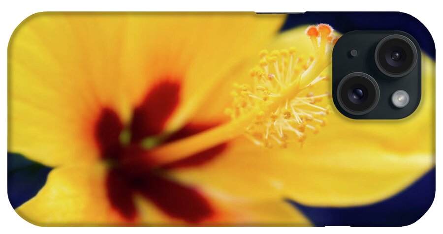 Hibiscus iPhone Case featuring the photograph Hibiscus Lemon Drop Tropical Fancy Flowers by Sharon Mau
