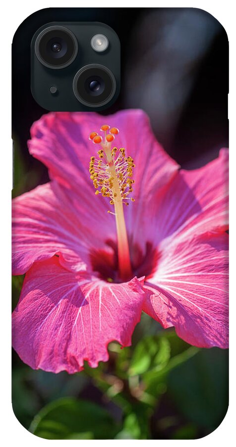 Nature iPhone Case featuring the photograph Hibiscus Painted Lady 119 by Rich Franco