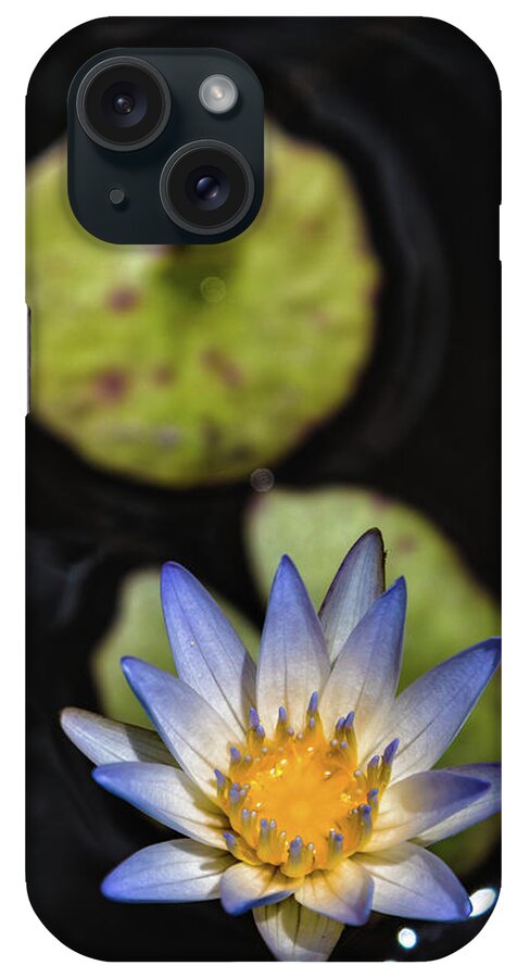 Nature iPhone Case featuring the photograph Hidden Jewel by Laura Roberts