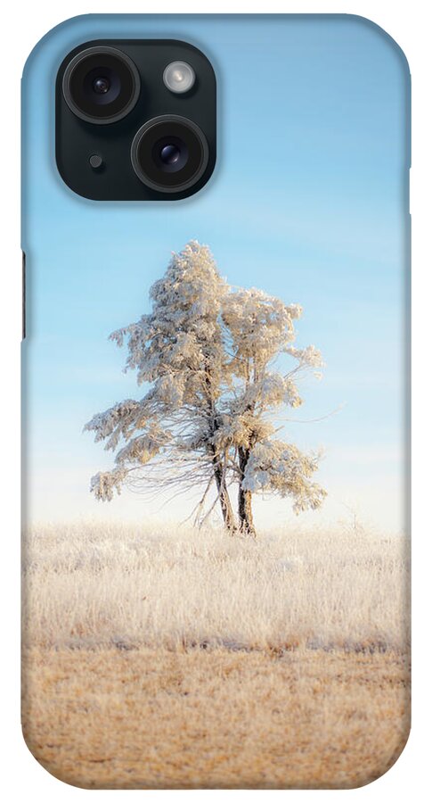 Blue Ridge iPhone Case featuring the photograph Hoarfrost on the Prairie Tree by Mark Duehmig