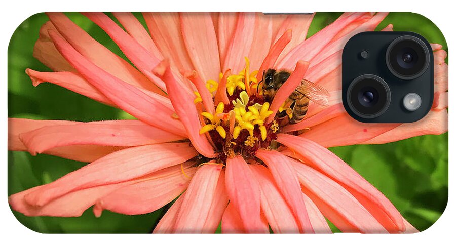 Honeybee iPhone Case featuring the photograph Honeybee and Zinnia 6 by Amy E Fraser