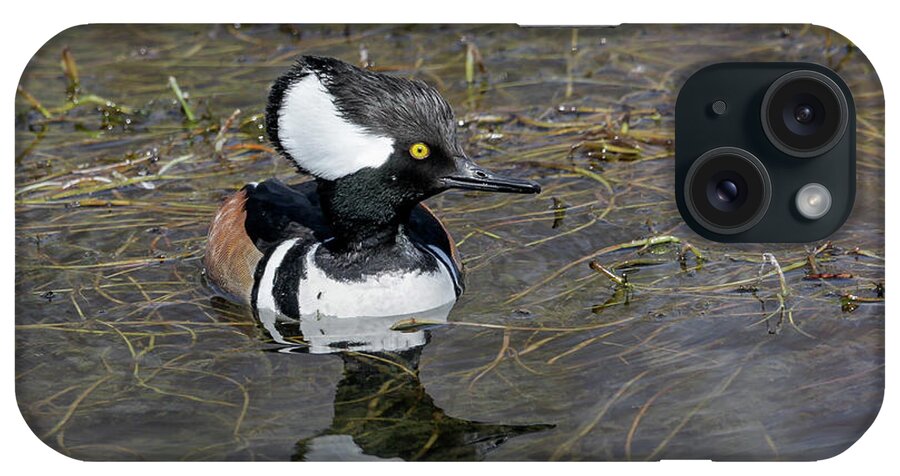 Hooded iPhone Case featuring the photograph Hooded Merganser by Ronnie And Frances Howard