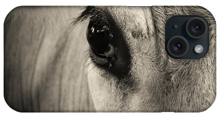 Horse iPhone Case featuring the photograph Horse Eye by Karena Goldfinch
