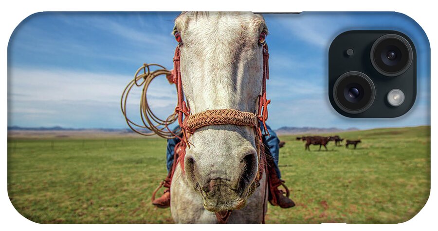 Wide Angle iPhone Case featuring the photograph Horse Head by Todd Klassy