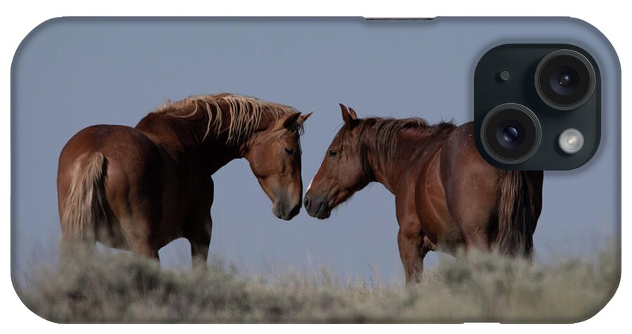 Horse iPhone Case featuring the photograph Horse Love by Patrick Nowotny