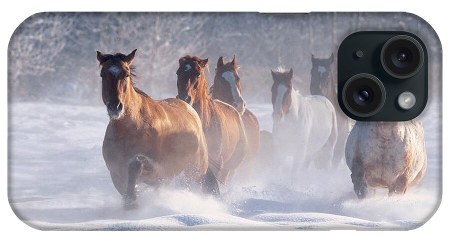 Horse iPhone Case featuring the photograph Horse, Methow Valley, Washington, Usa by Art Wolfe