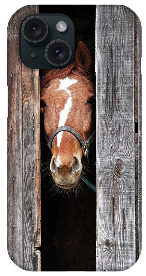 Horse iPhone Case featuring the photograph Horse Peeking Out Of The Barn Door by 2ndlookgraphics