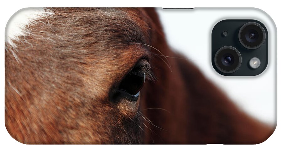 Horse iPhone Case featuring the photograph Horse Portrait by R-j-seymour