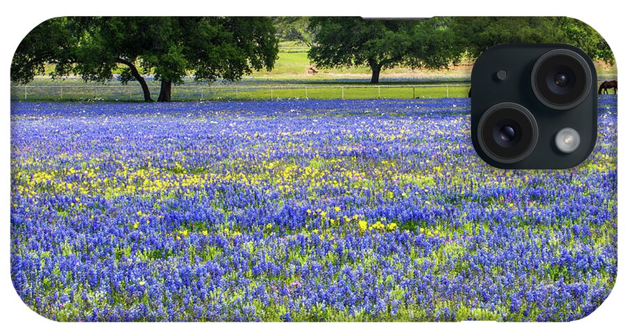 Horses In Bluebonnets iPhone Case featuring the photograph Horses In Bluebonnets II by Johnny Boyd