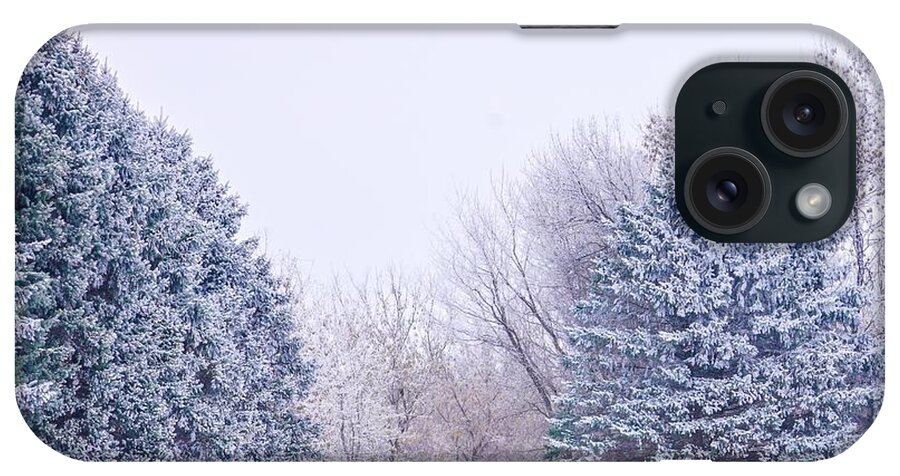 Minnesota iPhone Case featuring the photograph Horses in the Snow by Susan Rydberg