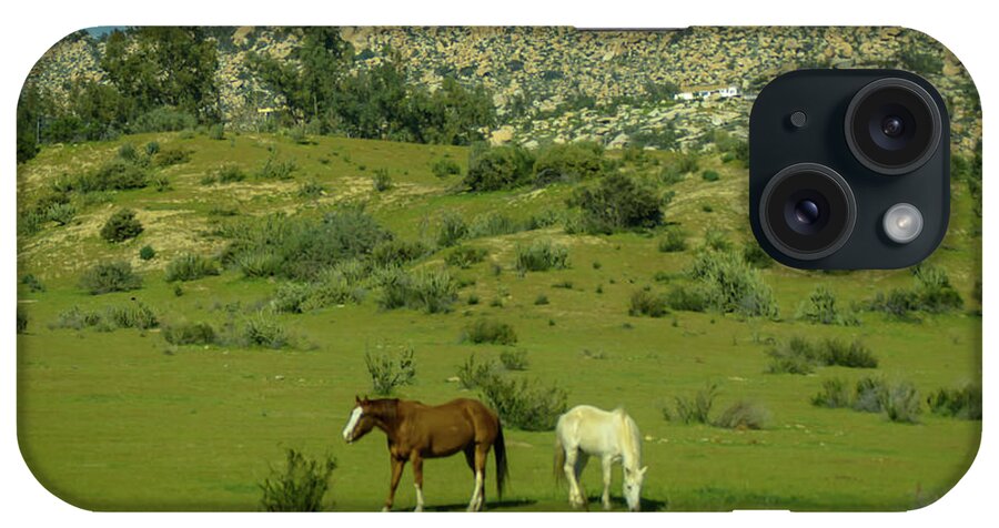 Horses iPhone Case featuring the photograph Horses on a Hillside by Debra Kewley