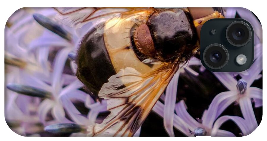 Hoverfly iPhone Case featuring the photograph Hoverfly by Ian Gowland/science Photo Library