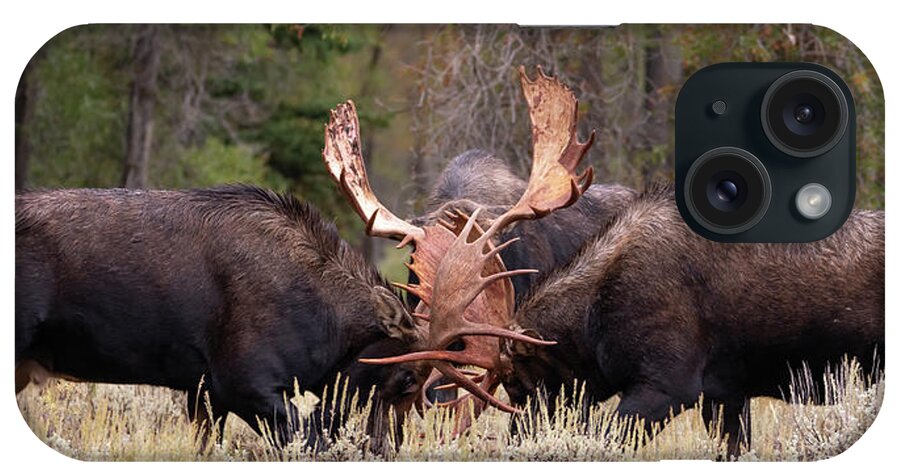 Moose iPhone Case featuring the photograph How the Big Boys Play by Mary Hone