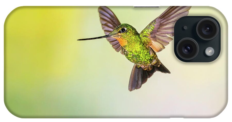 Vertebrate iPhone Case featuring the photograph Hummingbird , Buff-winged Starfrontlet by Kencanning