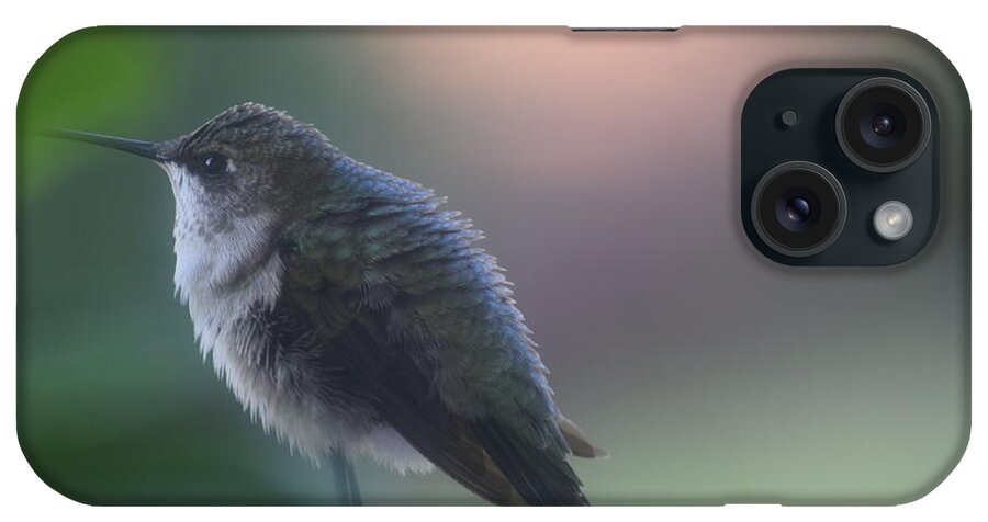 Hummingbird At Rest iPhone Case featuring the photograph Hummingbird at Rest by Debra Grace Addison