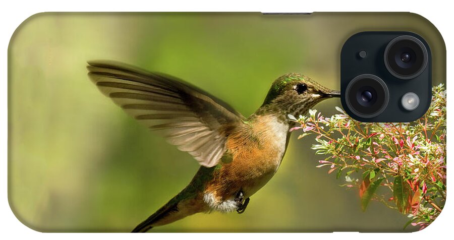 Animal Themes iPhone Case featuring the photograph Hummingbird In Flight Drinking From by Melinda Moore