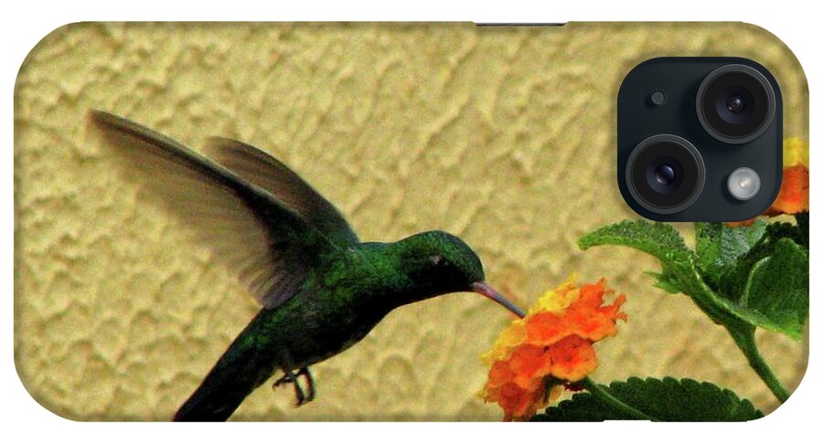 Animal Themes iPhone Case featuring the photograph Hummingbird by Vi Lima