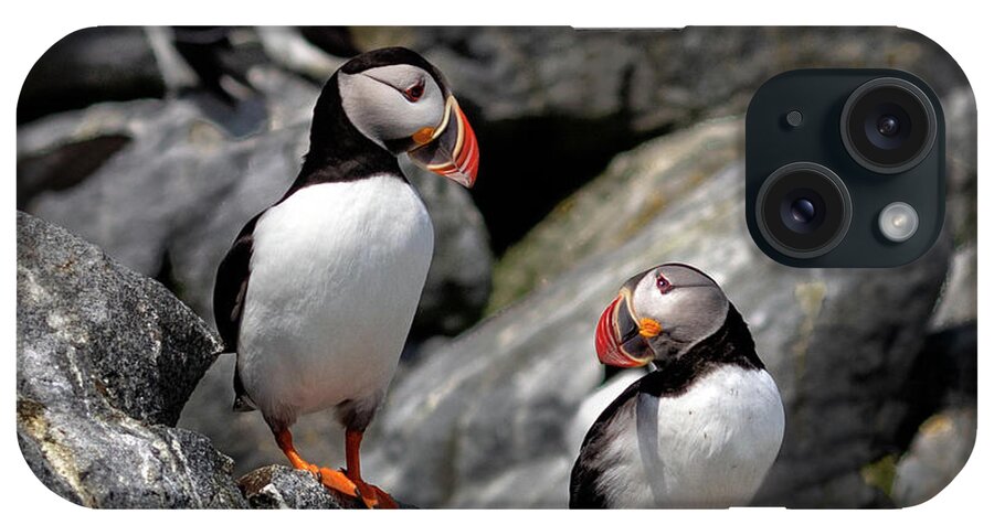Atlantic Puffin iPhone Case featuring the photograph I Love You by C Renee Martin