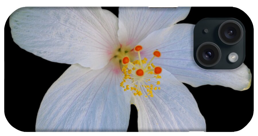 White Hibiscus Bloom iPhone Case featuring the photograph I Saw The Figure Five In White by Charles Stuart