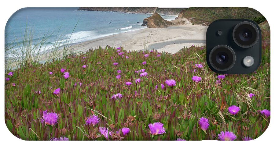 00571618 iPhone Case featuring the photograph Ice Plant Flowers Along Coast, Russian River, California by Tim Fitzharris