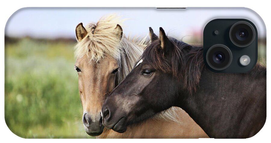Animal Themes iPhone Case featuring the photograph Icelandic Horse by Gigja Einarsdottir