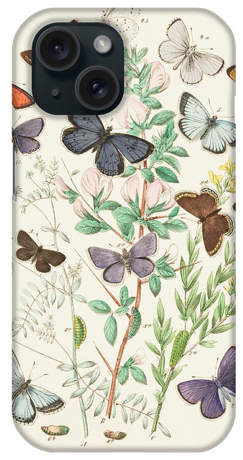 Watercolor Painting iPhone Case featuring the digital art Illustration Of Butterflies And Green by Dorling Kindersley