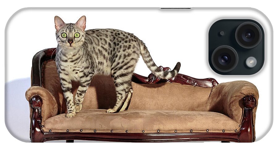 Impatience On The Settee iPhone Case featuring the photograph Impatience On the Settee by Wes and Dotty Weber