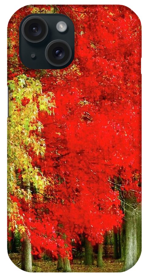 Autumn iPhone Case featuring the photograph Impressionist Autumn by Shawn M Greener