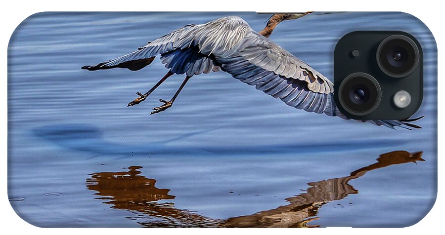 Birds iPhone Case featuring the photograph In Flight Music by Kathi Isserman